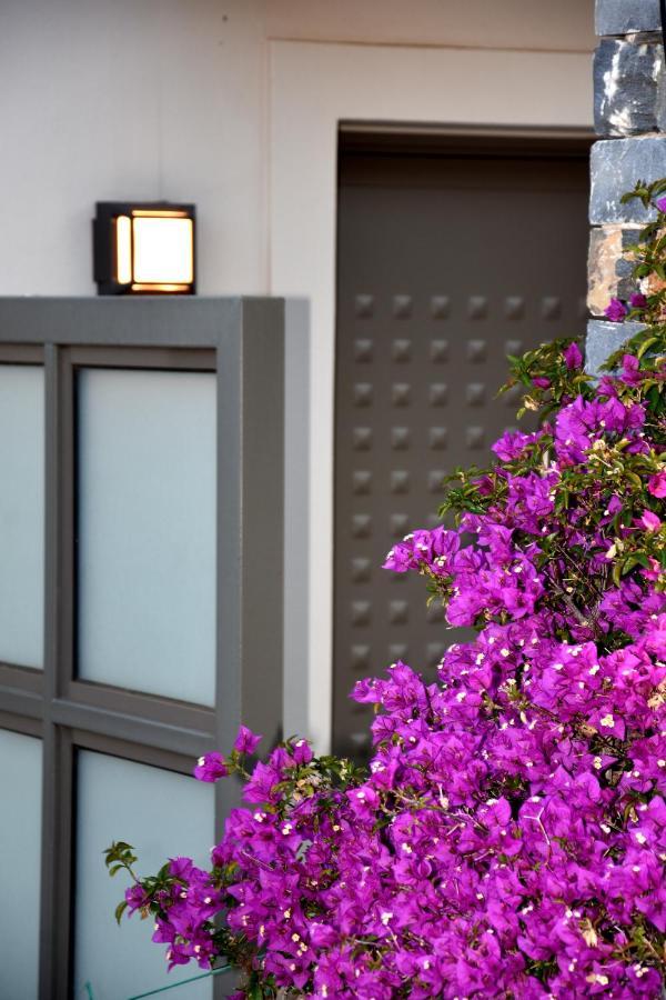 Ελιάδες - Eliades Apartments カリストス エクステリア 写真
